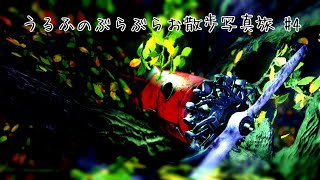 うるふのぶらぶらお散歩写真旅 #4
