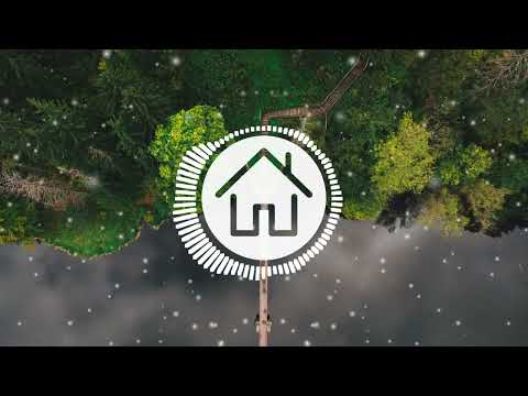 PNAU, Bebe Rexha & Ozuna - Stars