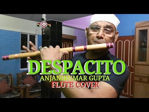 Despacito l Louis Fonsi l Ft.Daddy Yankee l Flute Cover | Anjani Flute