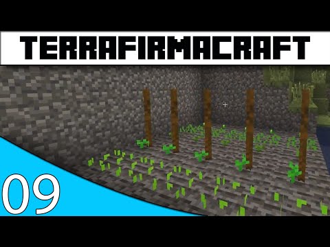 TerraFirmaCraft :: Agriculture! - E09