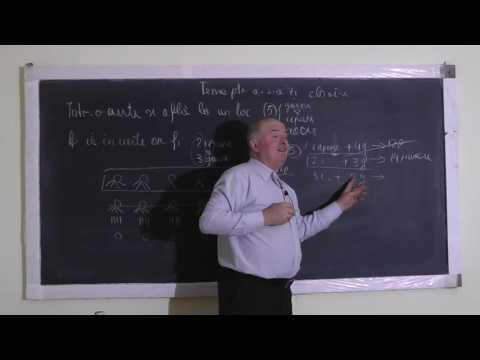 Lectia 1167 Probleme de aritmetica Primii pasi in aplicarea metodei falsei ipoteze cu Mario Clasa 1