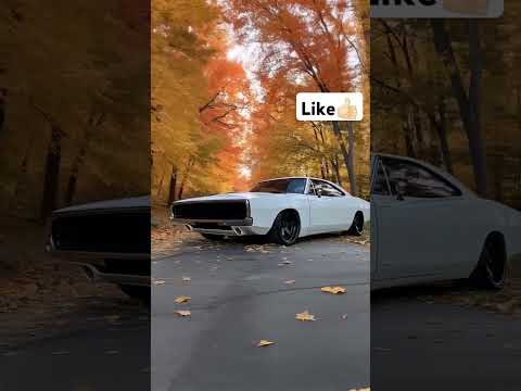 Thumbnail for Hell🥵 #trendingshorts #automobile #trending #motivation #memes #shorts #youtubeshorts #fyp #cartok by Roadster (automobile)