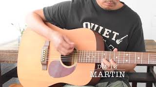 Video thumbnail for Martin DM-12 by Music Quietvillage