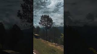 Download lagu Tenu hukka marda fira🥹😭💔😢 #shortsfeed #share #song #status #shorts #short #shortvideo #sad #like mp3