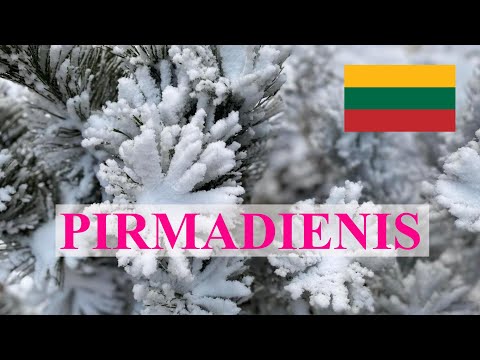 TIK LIETUVIŠKAI 33 - PIRMADIENIS (lietuviškas tekstas)