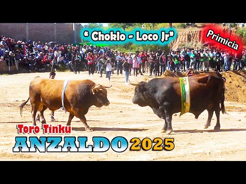 ANZALDO 2025- Toro Tinku, Encuentro "Choklo-Loco Jr.". (Video Oficial) de ALPRO BO