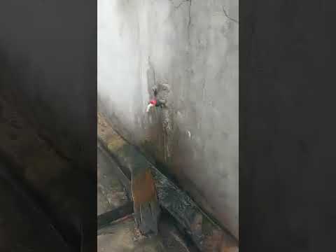 Detached Bungalow with Open Plan Space for Commercial Lease in Surulere