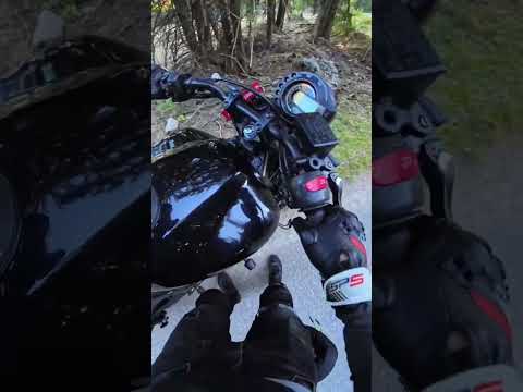 Motorcyclr crash accident with cow #crash #motorcycle #cow #moto #accident #yamaha #fz6 #notfunny