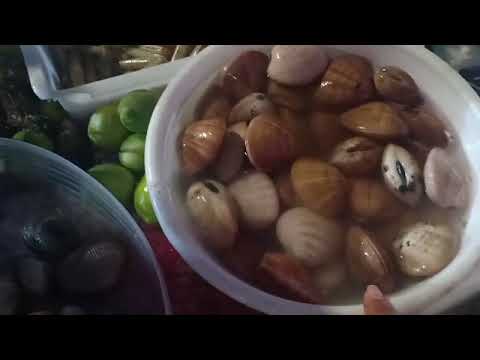 سيدي بوزيد صيف مطرطق دخلو تشوفو المفاجئة ناس كتسارا حتى الوحدة الليل