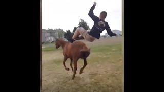 videos de risa 2020 risa Videos Graciosas Cosas interesantes sobre caballos y personas