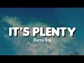 Burna Boy - It's Plenty (Lyrics)