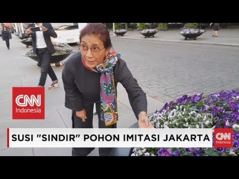 Menteri Susi: Masa Jakarta Gak Bisa Bikin Kayak Gini?