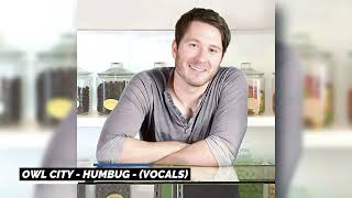 Owl City - Humbug (Official Acapella) [ RARE ]