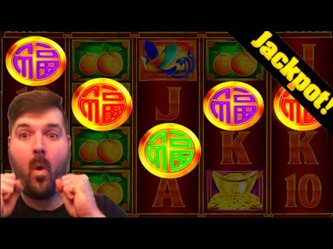 MEGA BONUS! I LAND ALL 5 COINS For A GUARANTEED BONUS On Fu Dai Lian Lian Slot Machine! JACKPOT!