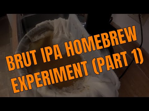 Brut IPA Homebrew Experiment (Part 1)