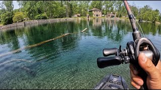 Clear water canal fish not where you expect them