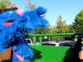 Hayride With Grover Avi