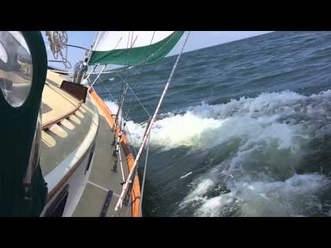 S/V SeaSprite - Bad to the Bone