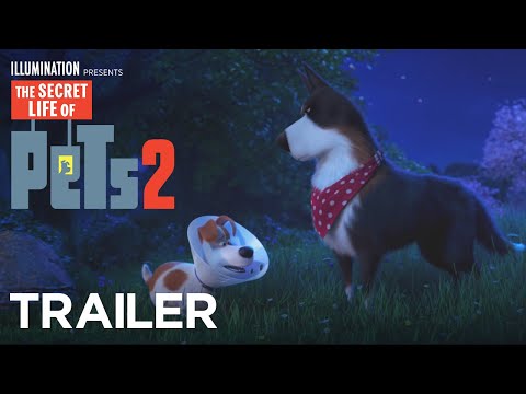 The Secret Life of Pets 2 (Trailer 'The Rooster')