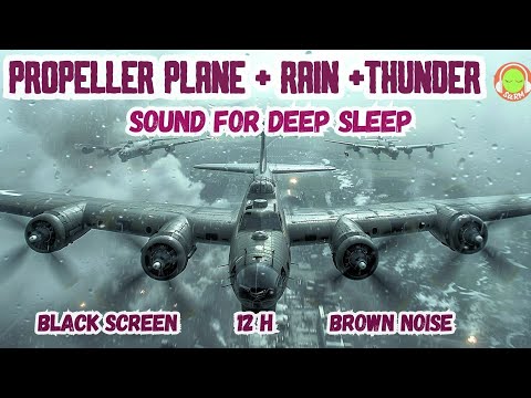 PROPELLER PLANE +RAIN +THUNDERS TO FALL ASLEEP FAST | SLEEP DEEPLY | BLACK SCREEN | B17 SQUADRON ✈️😴