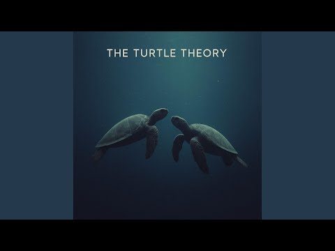 The Turtle Theory