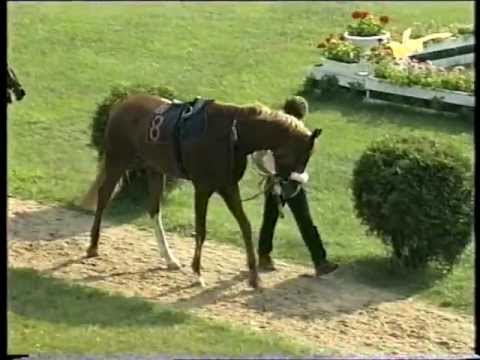 Nagroda Haracza (Ibikon) i Nagroda Widzowa (Szarlatan) - 8-9.06.1996