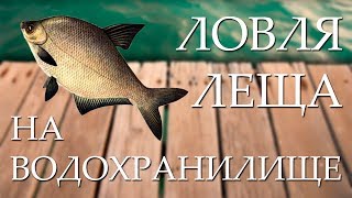 Ловля леща на водохранилищах