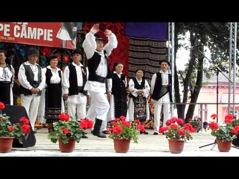 Tîrnoveana Marinel Ban, Zorile Mociu 2010