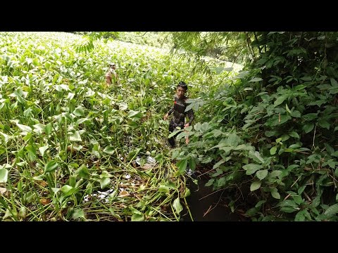 SE03EP066 - SAPALARAN  SINAGUPA ang KINAKATAKUTANG MALAKING ILOG BUKAL ng BULAKIN Tiaong Quezon