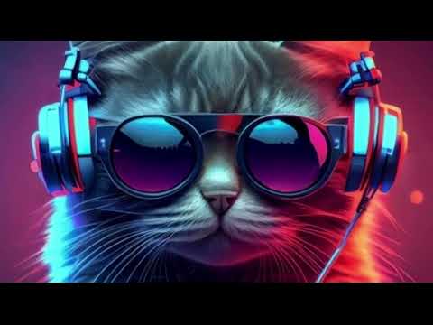 Best  EDM FESTIVAL MIX -   Electro House & Bigroom Party  Music 2024