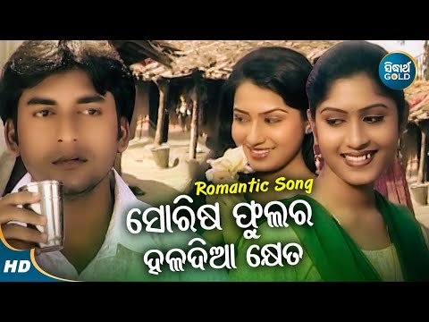 Sorisa Phulara Haladia Kheta - Romantic Album Song | Nibedita | ସୋରିଷ ଫୁଲର ହଳଦିଆ ଖେତ |Sidharth Music