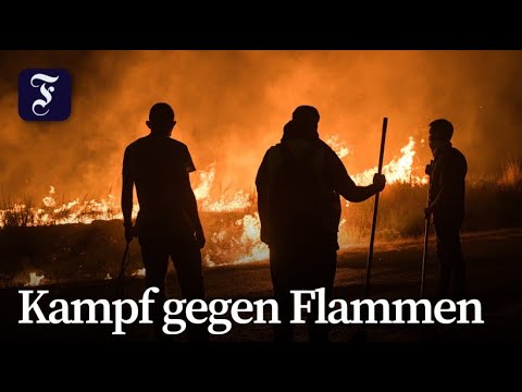 Waldbrände in Spanien und Portugal wüten weiter