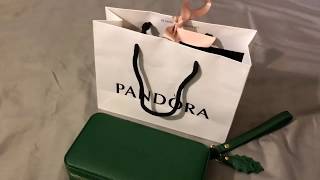The Pandora Goodies I received for Christmas🎄