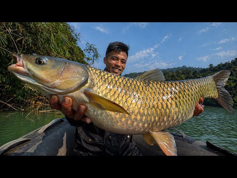 Cá Lớn Rất Thích Ăn Trái Cây Chín Trong Rừng Già | I Caught a MONSTER Fish in Vietnam’s Deep Jungle!