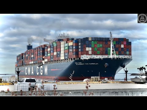 CONTAINER SHIP TRAFFIC IN LOS ANGELES 4K SHIPSPOTTING - May 2023