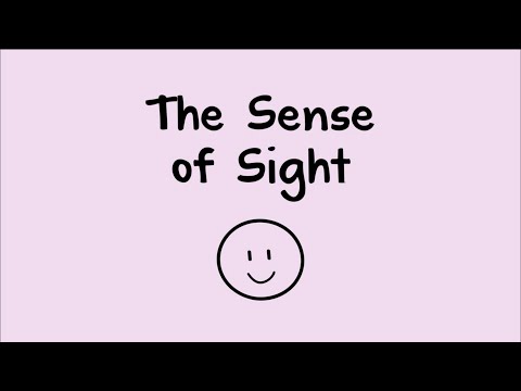 download lagu mp3 mp4 Sense Of Sight Preschool Craft, download lagu Sense Of Sight Preschool Craft gratis, unduh video klip Sense Of Sight Preschool Craft