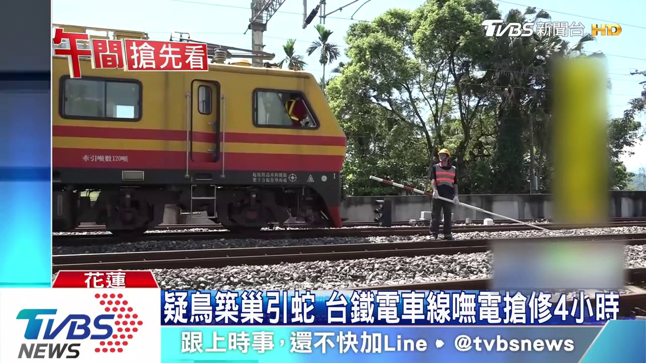 疑鳥築巢引蛇　台鐵電車線嘸電搶修4小時