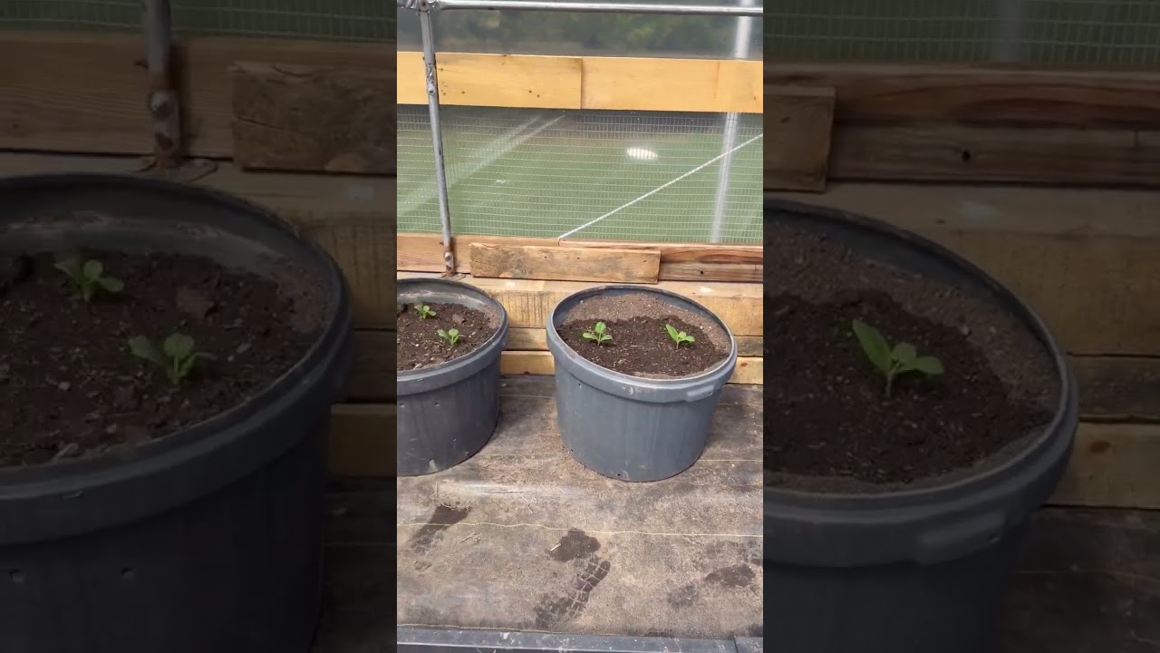 Garden Start in April!