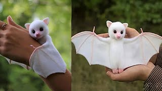 11 Animali Esotici Carinissimi CHE PUOI ADOTTARE