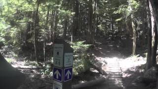 Great intermediate - technical singletrack.