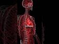 Your Body Parts Are Worth MILLIONS 💵 | Crazy Human Value Facts #ytshorts #facts