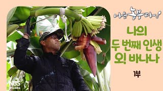[나는농부다 243회 1부] 나의 두 번째 인생, 오! 바나나