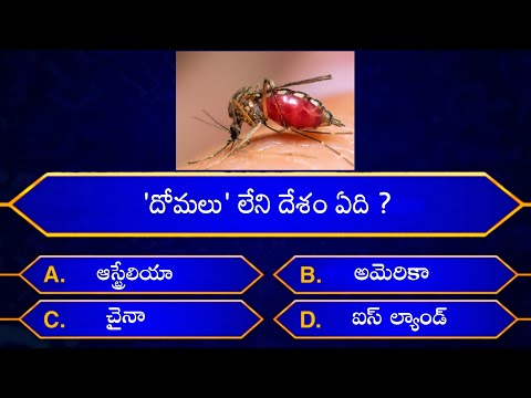 Interesting Questions In Telugu|Episode-2|By Rk thoughts|Unknown Facts|Genera Knowledge|Telugu Quiz