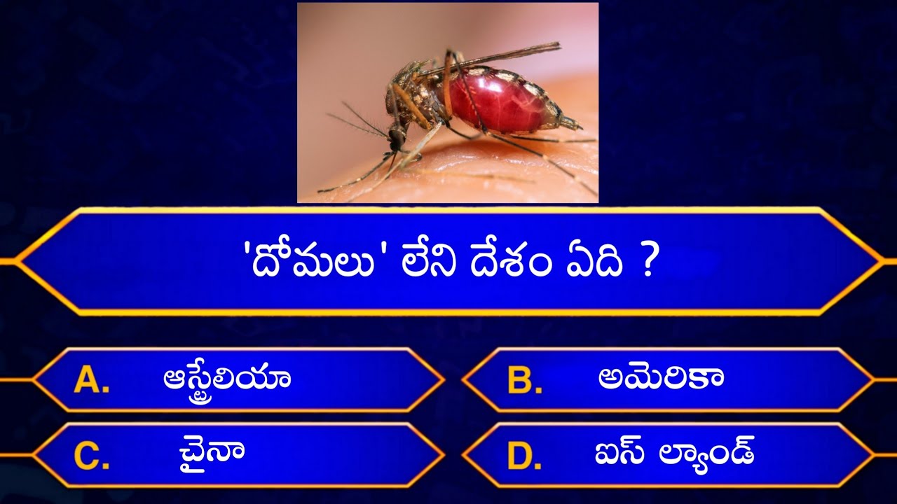 Interesting Questions In Telugu|Episode-2|By Rk thoughts|Unknown Facts|Genera Knowledge|Telugu Quiz