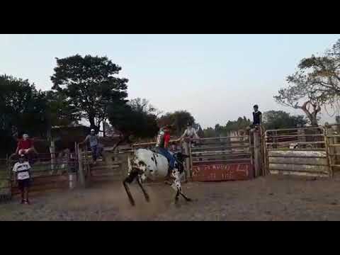 Rodrigo Almeida vs Perfurado ( Treino )