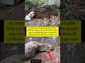 विष्णु जी के उपर है शेषनाग Vishnu Vishnupuran Vishnumantra