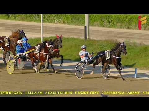 V Corsa del 2 novembre 2022 - 2 Anni - Metri 1600 - Gara centrale