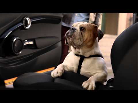 SPIKE MEETS THE NEW ORIGINAL