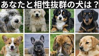 【犬選び診断】7問でわかる！あなたに合う犬種と"後悔しない"選び方