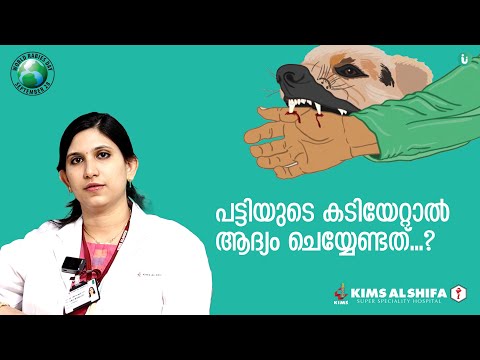 പട്ടിയുടെ കടിയേറ്റാൽ ആദ്യം ശ്രദ്ധിക്കേണ്ട കാര്യങ്ങൾ | Dog Bite | KIMS Alshifa